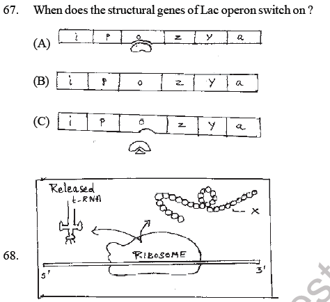 NEET Biology Molecular Basis Of Inheritance MCQs Set B, Multiple Choice ...